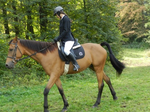 Babie Lato 2016